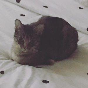 Meet your Posher, Melody